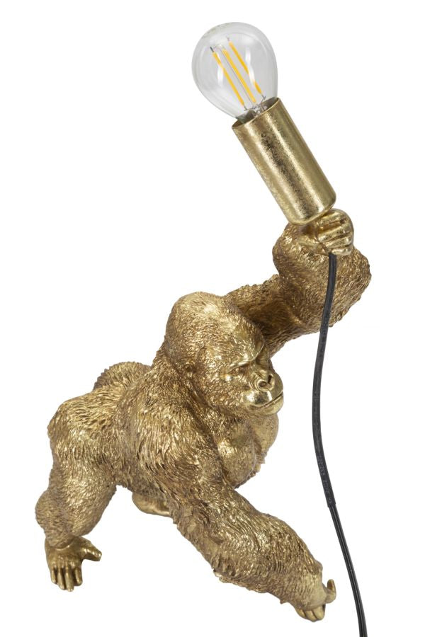Product Image-3
