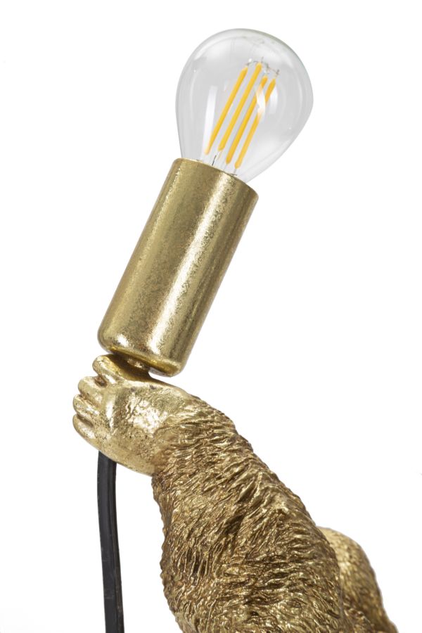 Product Image-6