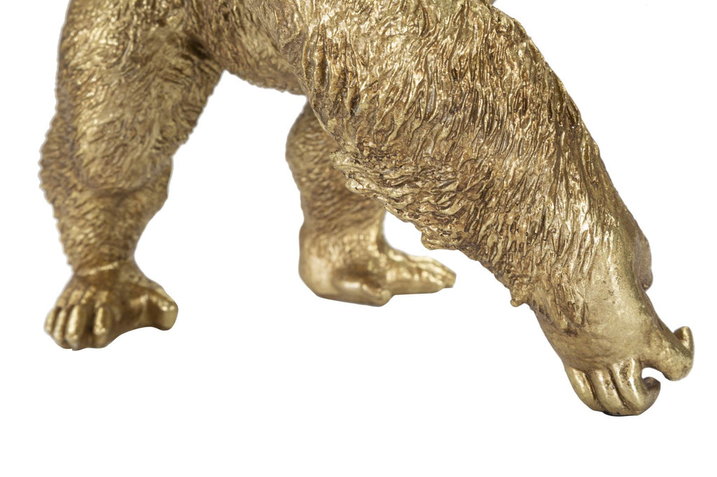 Product Image-5