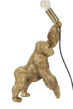 Product Image-8