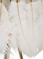 Product Image-2