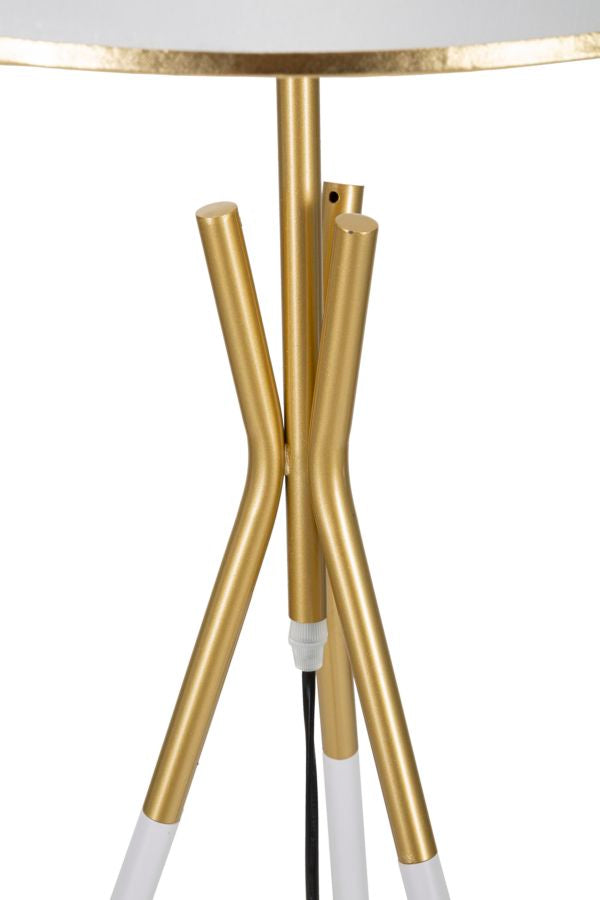 Product Image-4