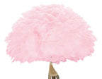 Product Image-2