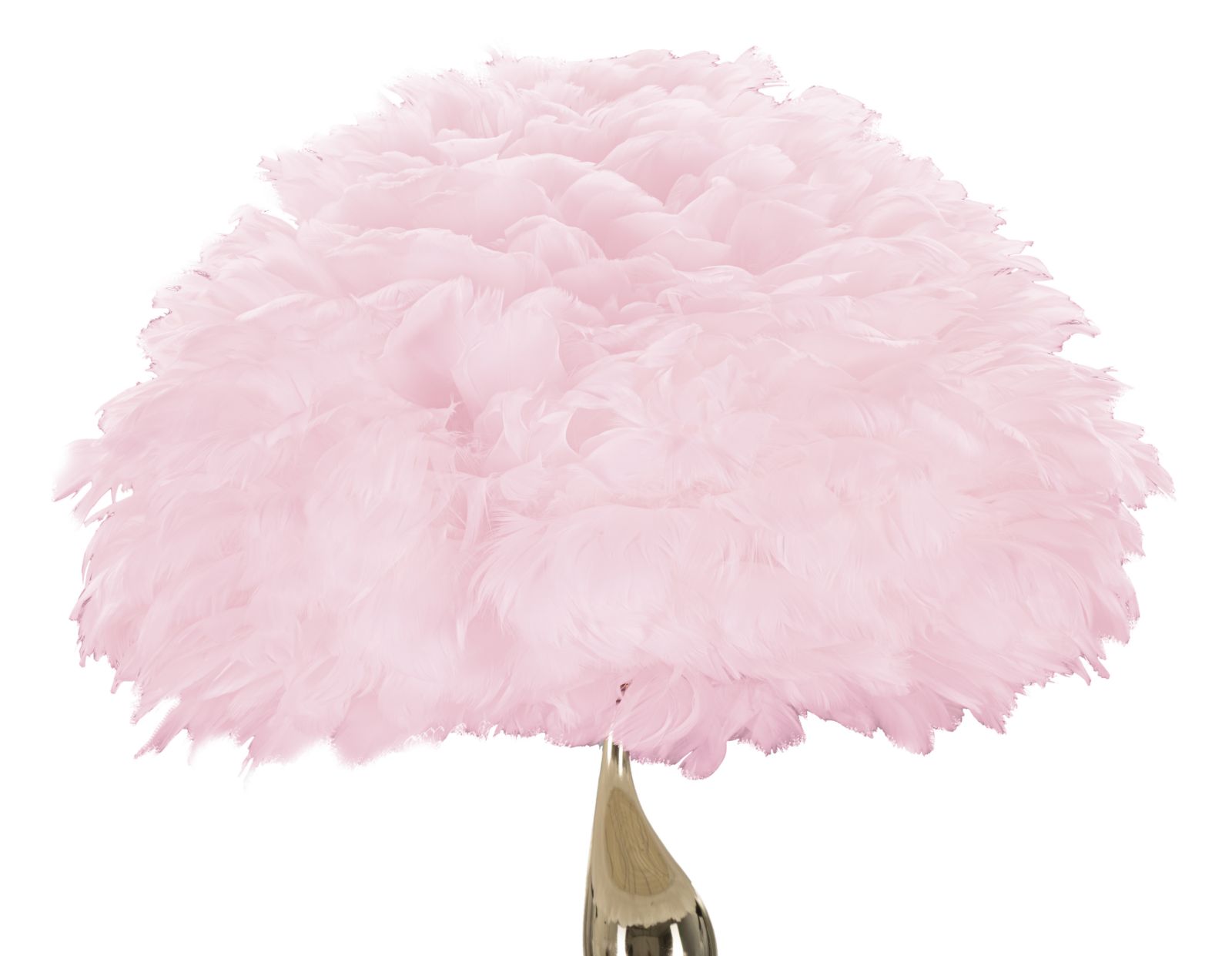 Product Image-2