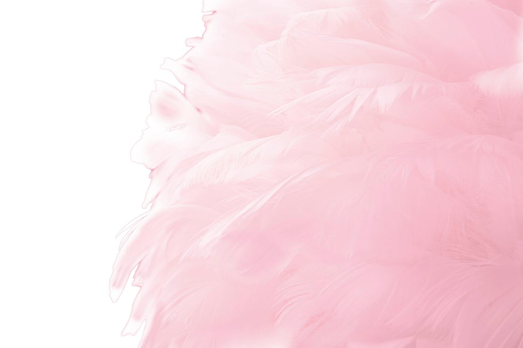 Product Image-6