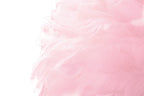 Product Image-6