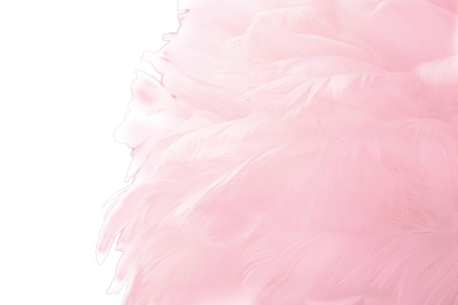 Product Image-6