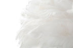 Product Image-4