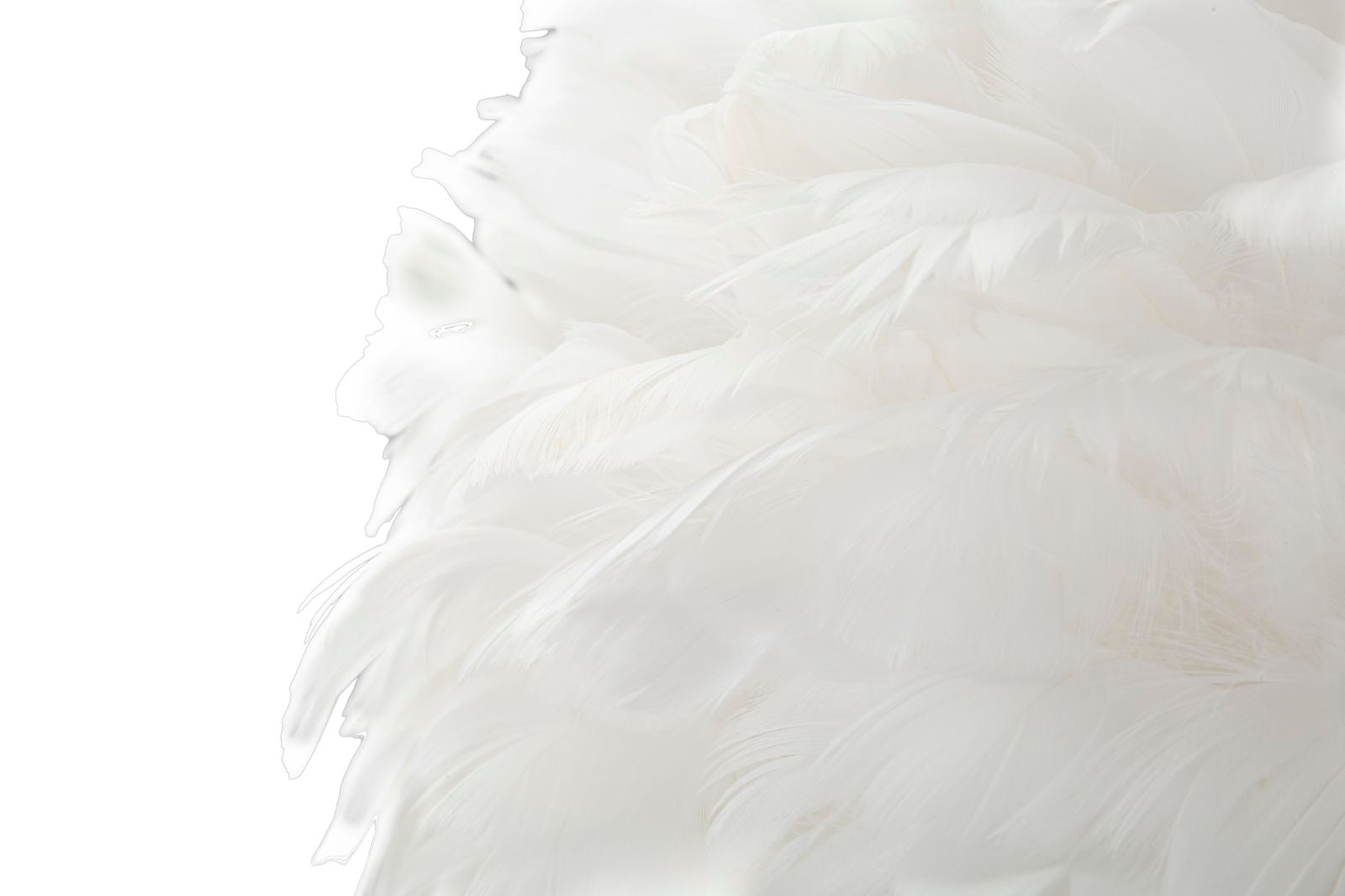 Product Image-4