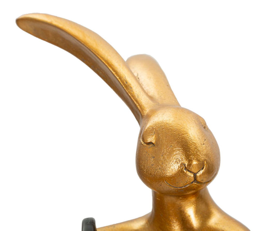 Product Image-1