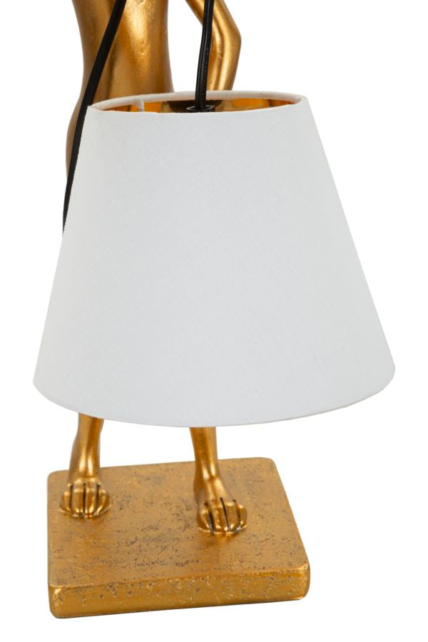 Product Image-2