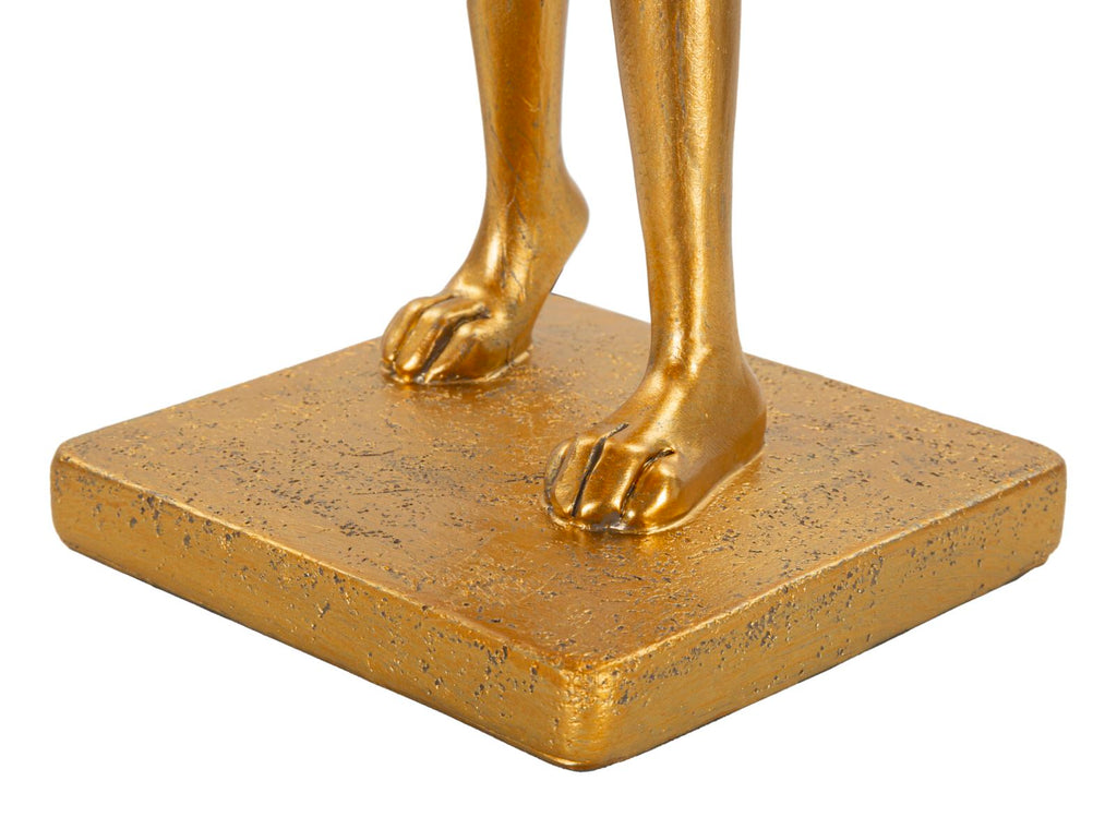 Product Image-6