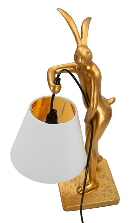 Product Image-5