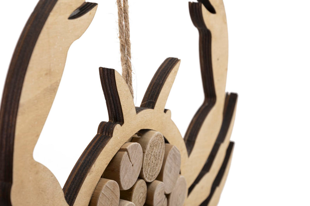 Product Image-3