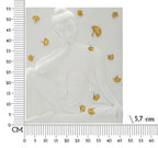 Product Image-5