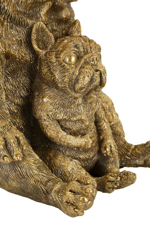 Product Image-2