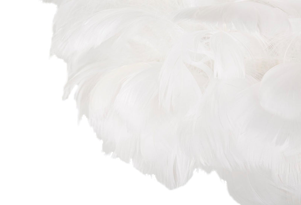 Product Image-2
