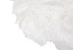 Product Image-2