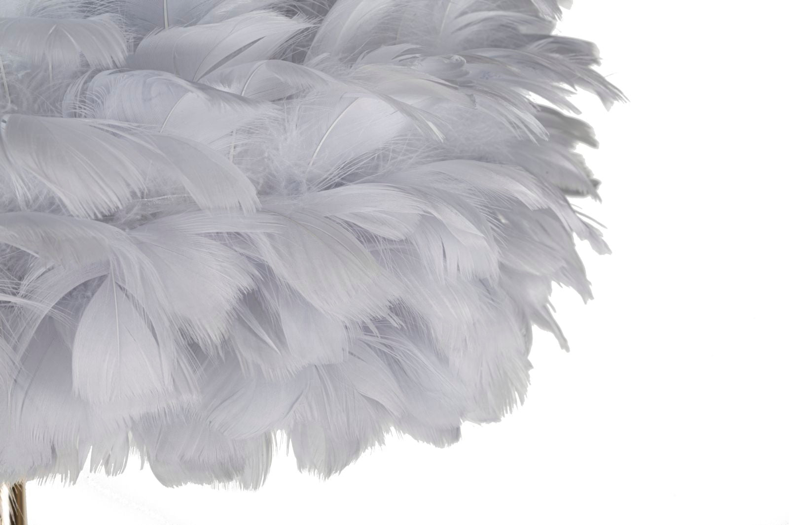 Product Image-2