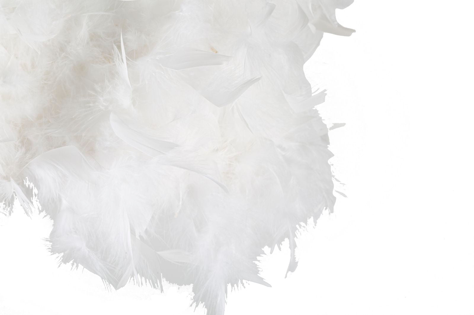 Product Image-3