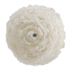 Product Image-3