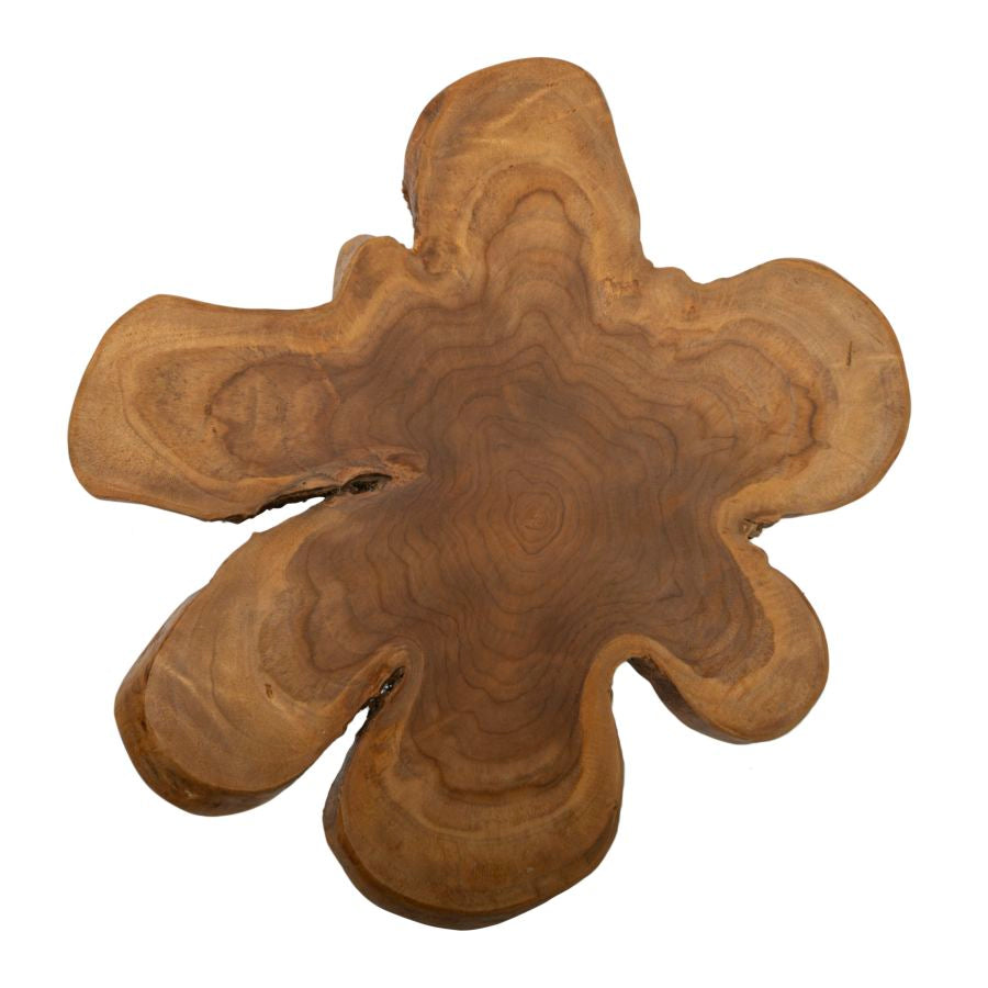 Product Image-3