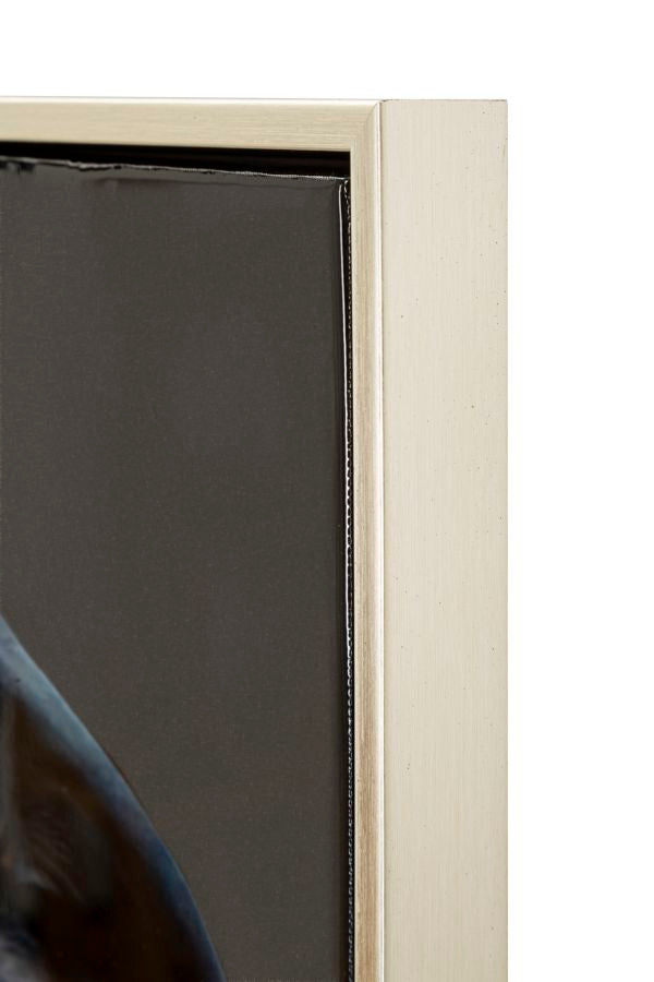Product Image-4