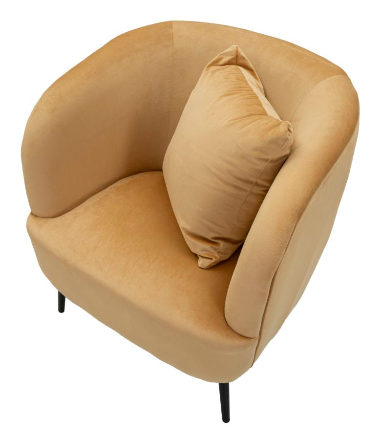 Product Image-3