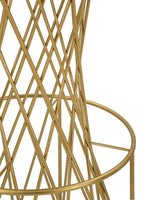 Product Image-2