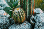 Product Image-5