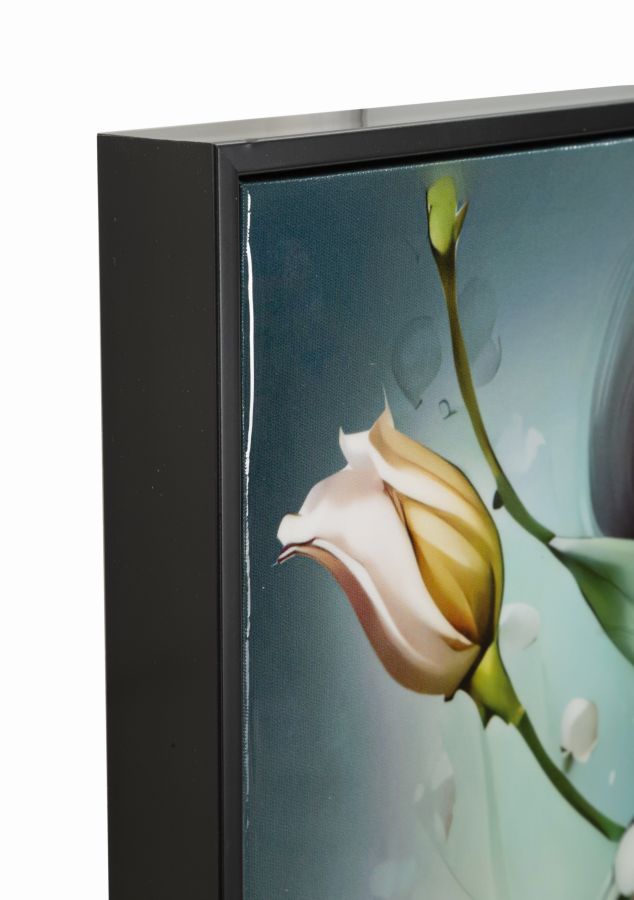 Product Image-6