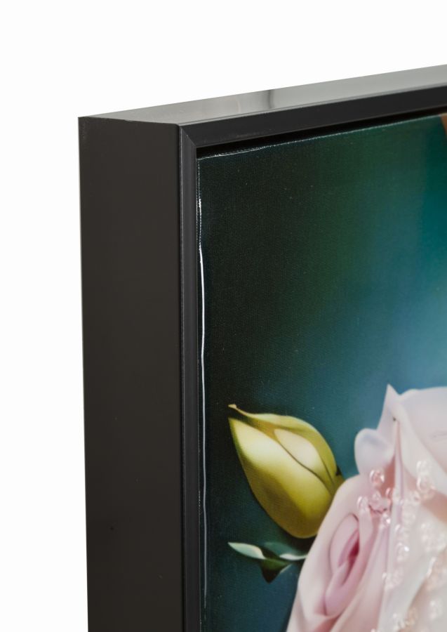 Product Image-2