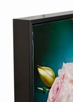 Product Image-2