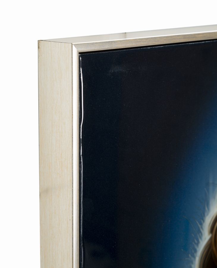 Product Image-5
