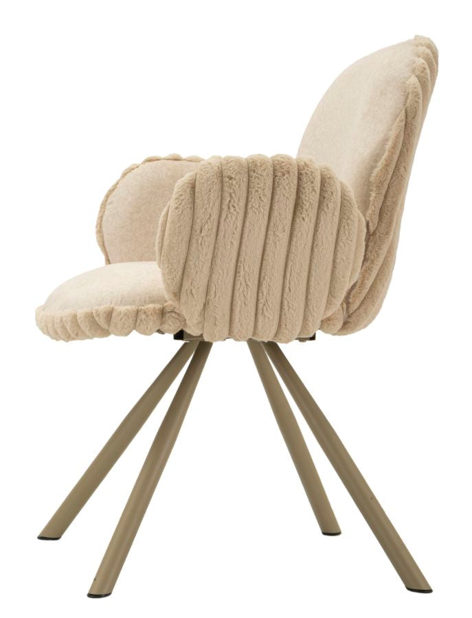 Product Image-2