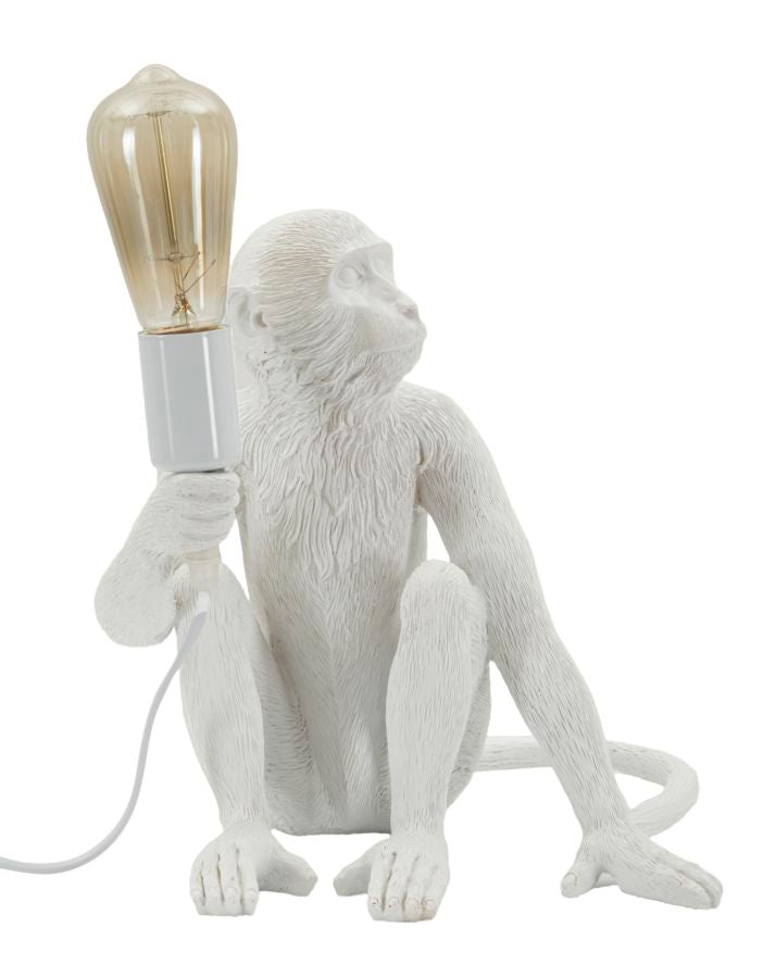 Product Image-0