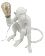 Product Image-2