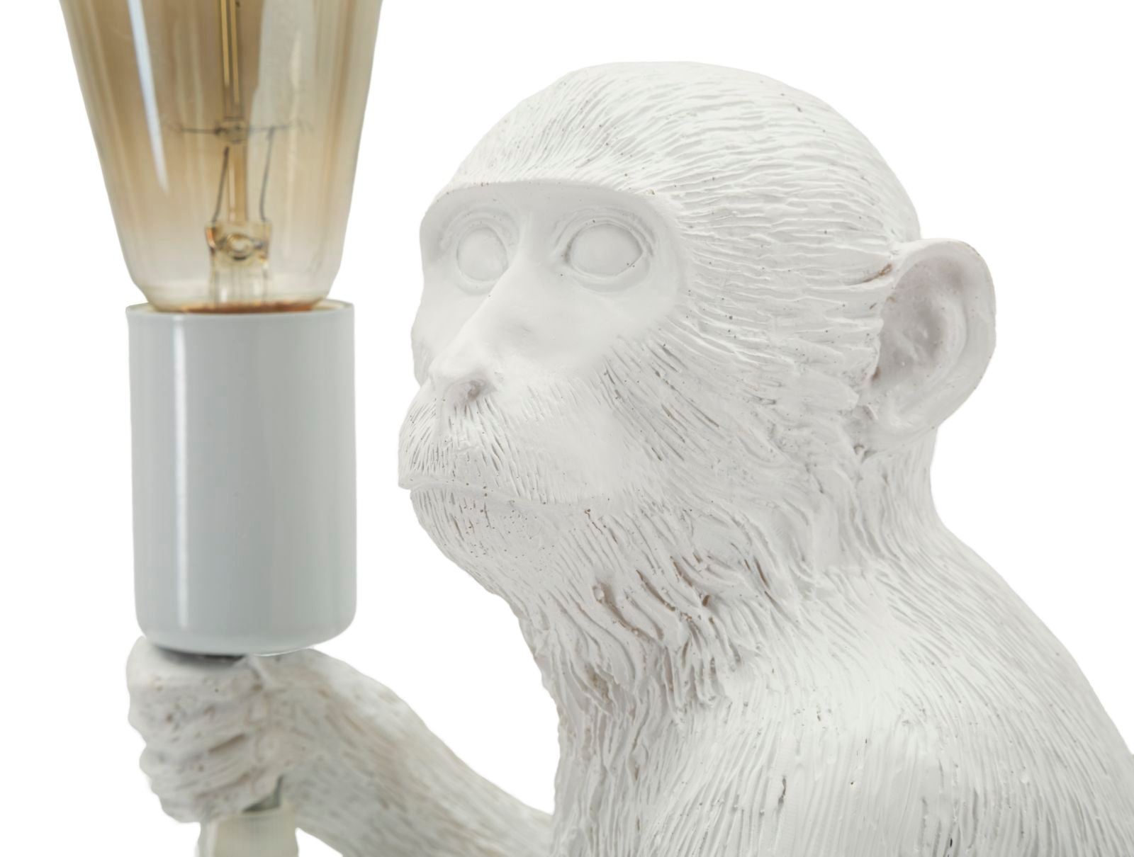 Product Image-3