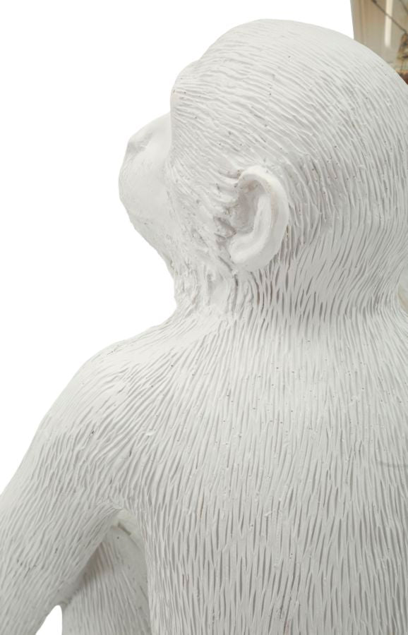 Product Image-4