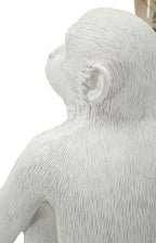 Product Image-4