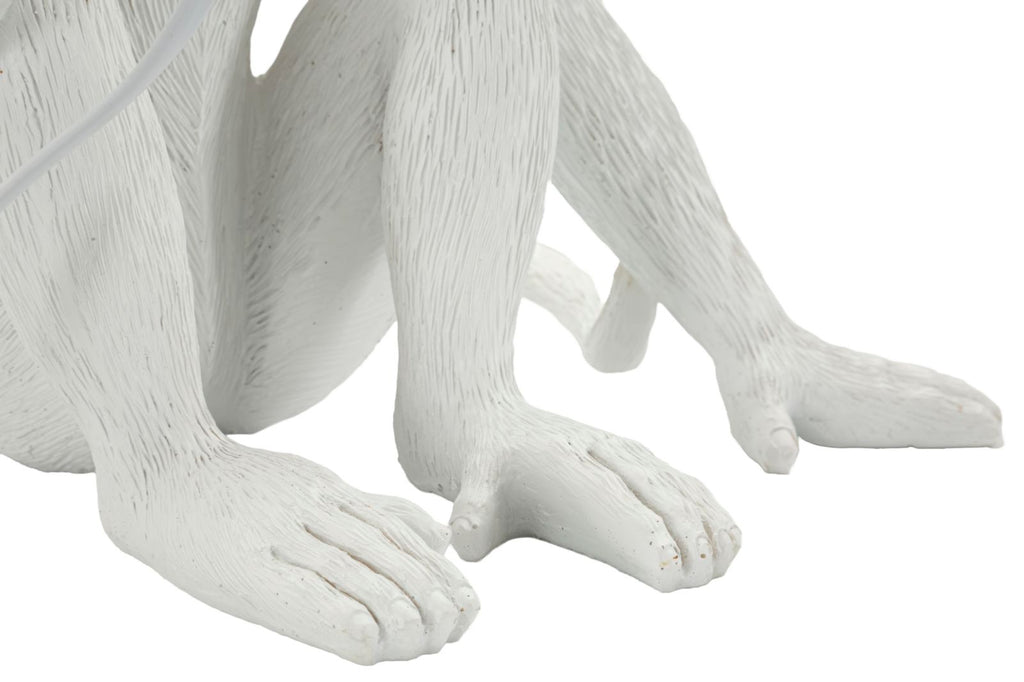 Product Image-5
