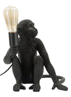 Product Image-2