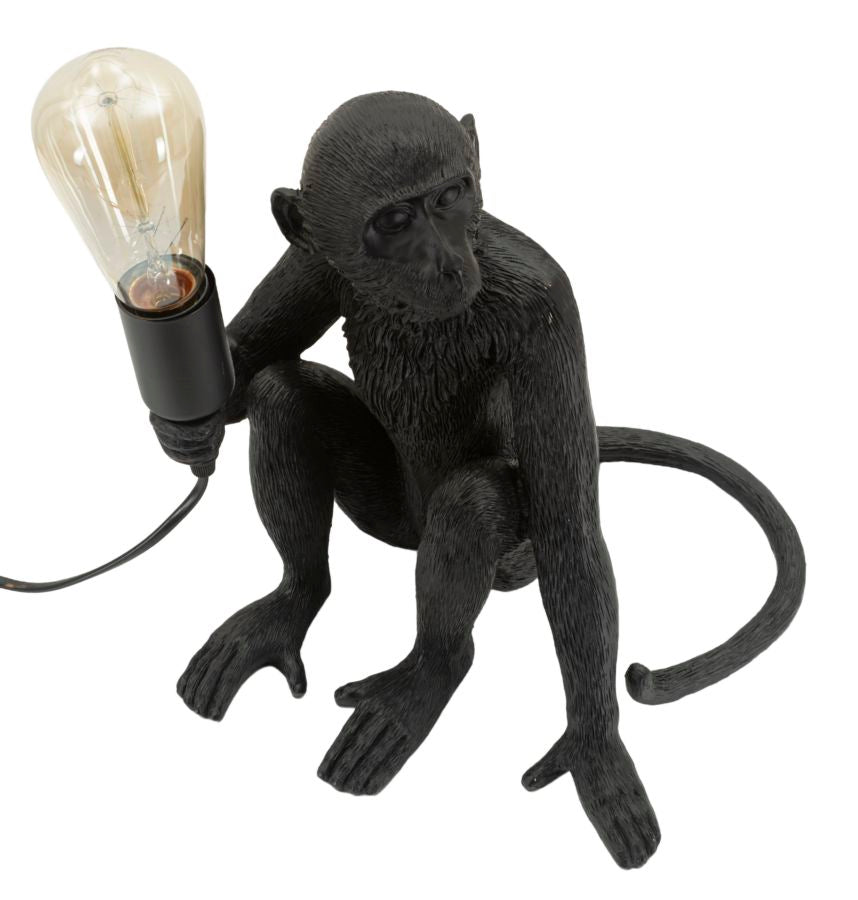 Product Image-1