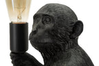 Product Image-3