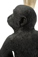 Product Image-5