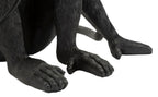 Product Image-4