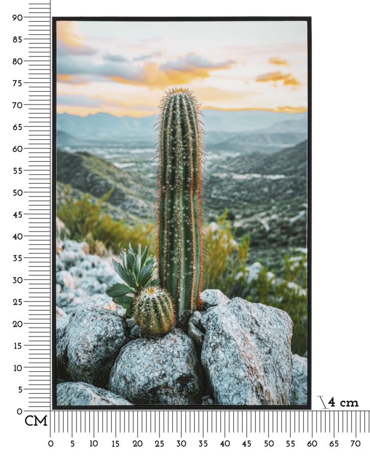 Product Image-6