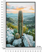 Product Image-6