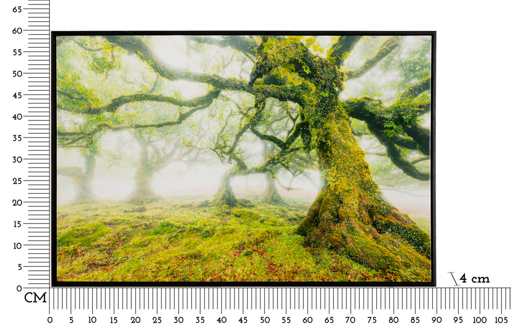 Product Image-4