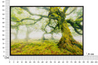 Product Image-4